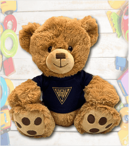 CLASSIC "PAWS" TEDDY BEAR - Traditional Brown with Navy Printed T