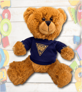 Plush TEDDY BEAR - Traditional Brown with Navy Printed T