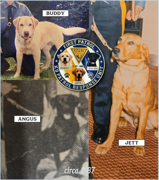 Challenge Coin - K9 PATROL RESPONSE UNIT