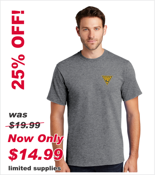GRAPHITE HEATHER GREY T Printed with Classic Triangle Logo